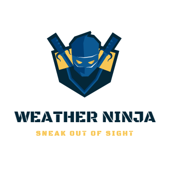 Weather Ninja Logo
